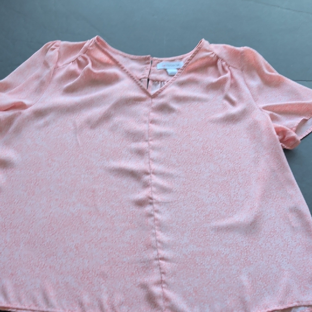 Liz Claiborne Floral Pink Top